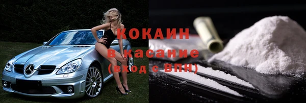 молекула духа Арсеньев
