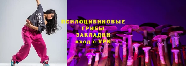 молекула духа Арсеньев