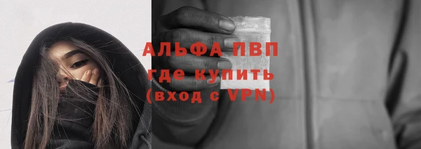 молекула духа Арсеньев