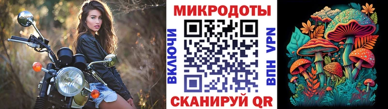 Купить где  Всеволожск  Псилоцибиновые грибы Cubensis 